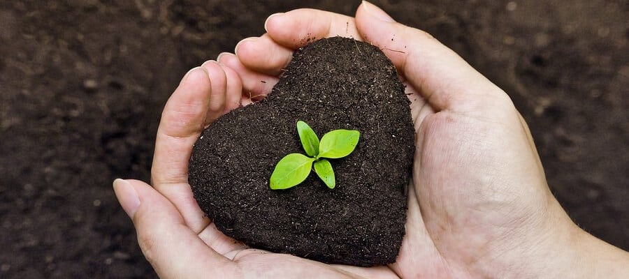 unsur hara adalah unsur hara adalah