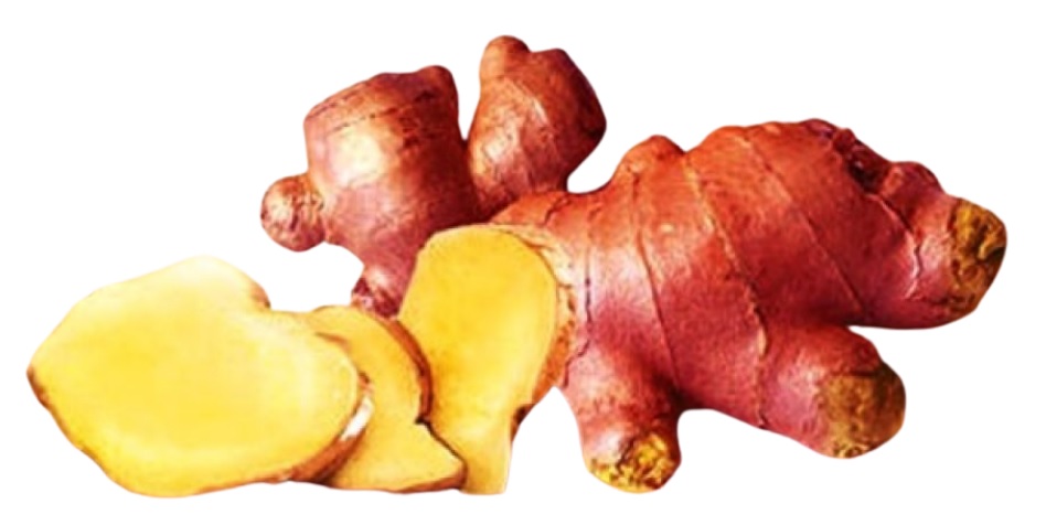 kandungan jahe merah kandungan jahe merah